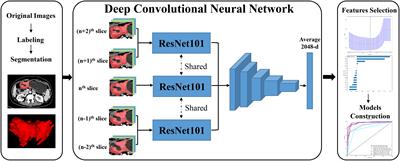 Deep learning model for diagnosing early gastric cancer using preoperative computed tomography images